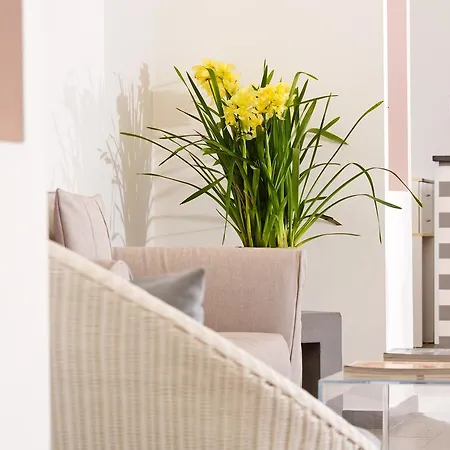 Spicy فندق سورينتو